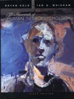 Bertrand.pt - Fundamentals Of Human Neuropsychology