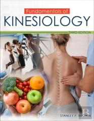 Fundamentals Of Kinesiology