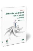 Fundamentos De Derecho Civil. Fuentes Y Derecho De La Persona