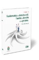 Fundamentos De Derecho Civil. Fuentes Y Derecho De La Persona