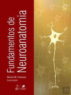 Bertrand.pt - Fundamentos de Neuroanatomia