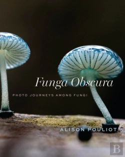 Bertrand.pt - Funga Obscura