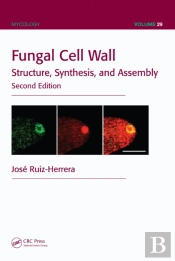 Fungal Cell Wall