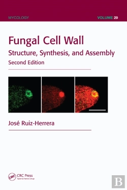 Bertrand.pt - Fungal Cell Wall