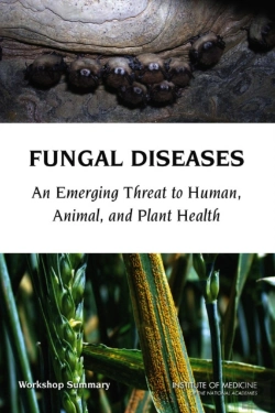 Bertrand.pt - Fungal Diseases
