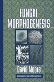 Fungal Morphogenesis