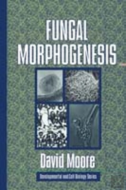 Bertrand.pt - Fungal Morphogenesis