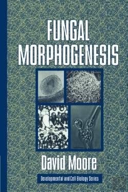 Bertrand.pt - Fungal Morphogenesis
