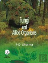 Fungi And Allied Organisms
