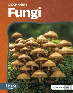 Bertrand.pt - Fungi