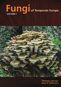 Bertrand.pt - Fungi Of Temperate Europe
