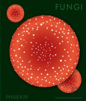 Fungi