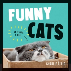 Bertrand.pt - Funny Cats