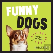 Funny Dogs