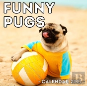 Funny Pugs Calendar 2021