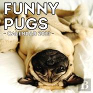 Funny Pugs Calendar 2021