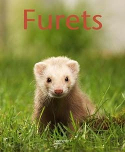 Bertrand.pt - Furets