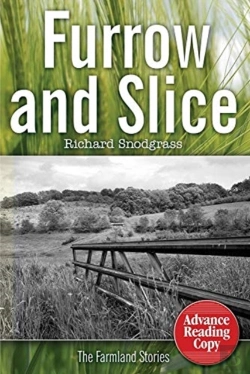 Bertrand.pt - Furrow And Slice