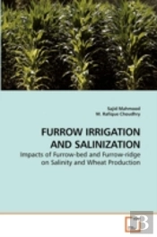 Furrow Irrigation And Salinization