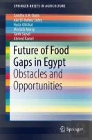Future Of Food Gaps In Egypt