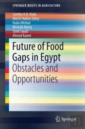 Future Of Food Gaps In Egypt
