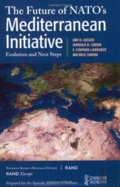Future Of Nato'S Mediterranean Initiative