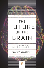 Future Of The Brain