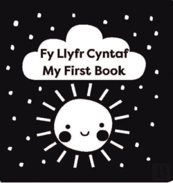 Bertrand.pt - Fy Llyfr Cyntaf / My First Book