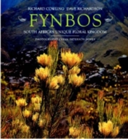 Bertrand.pt - Fynbos