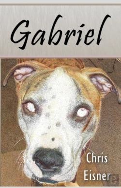 Bertrand.pt - Gabriel