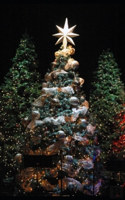 Bertrand.pt - Gabriel'S Christmas