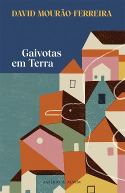 Bertrand.pt - Gaivotas em Terra