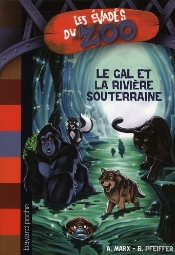 Gal Et La Riviere Souterraine N3