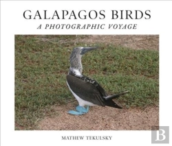 Bertrand.pt - Galapagos Birds