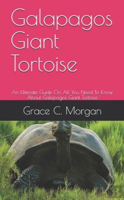 Bertrand.pt - Galapagos Giant Tortoise