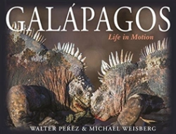 Bertrand.pt - Galapagos