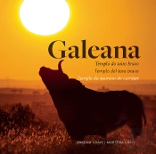 Galeana