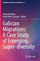 Galician Migrations: A Case Study Of Emerging Super-Diversity