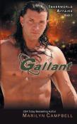 Gallant (The Innerworld Affairs Series, Book 3)