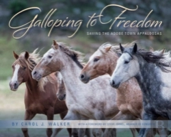 Bertrand.pt - Galloping To Freedom