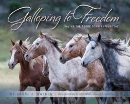 Galloping To Freedom