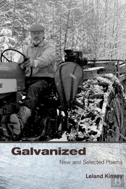 Bertrand.pt - Galvanized