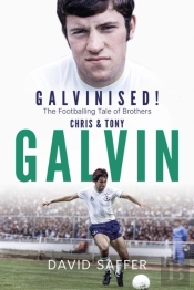 Galvinised