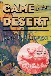 Game In The Desert