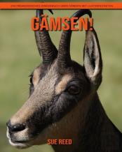 Gamsen! Ein Padagogisches Kinderbuch Uber Gamsen Mit Lustigen Fakten