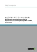 Gangs Of New York - Eine Filmanalytische Betrachtung Unter Beracksichtigung Historischer Und Sozialpsychologischer Aspekte