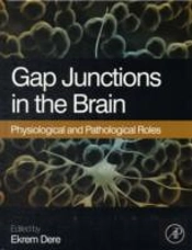 Gap Junctions In The Brain
