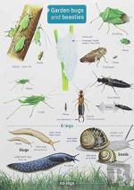 Garden Bugs And Beasties