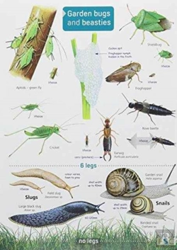 Bertrand.pt - Garden Bugs And Beasties