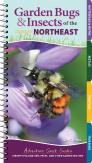 Garden Bugs & Insects Of The Northeast